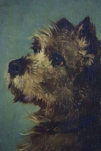 null Jules CHARDIGNY (1842-1892).

Terrier.

Oil on panel, signed upper left. 

H_22...