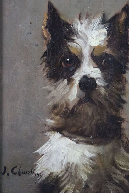 null Jules CHARDIGNY (1842-1892).

Terrier, de face.

Huile sur panneau, signée en...