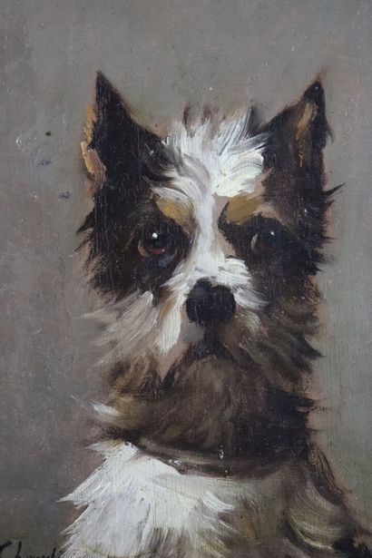 null Jules CHARDIGNY (1842-1892).

Terrier, in front.

Oil on panel, signed lower...