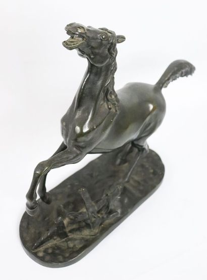 null French school of the XIXth century.

Horse neighing.

Sculpture in bronze with...