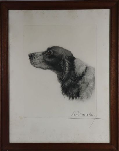 null Léon DANCHIN (1887-1938).

English setter.

Etching and aquatint, signed in...