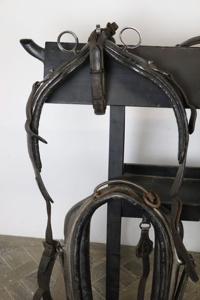 null Meeting of horse harnessing elements for two in black leather including :

-...