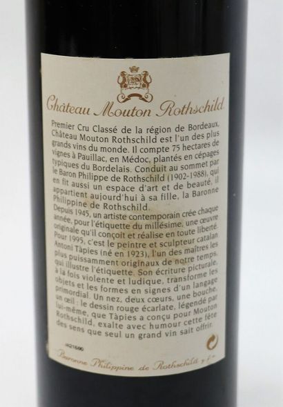 null CHATEAU MOUTON ROTHSCHILD.

Millésime : 1995.

1 bouteille
