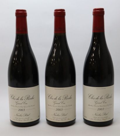 null CLOS DE LA ROCHE GRAND CRU.

Nicolas POTEL.

Vintage : 2003.

3 bottles