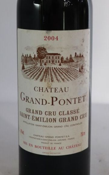 null CHATEAU GRAND-PONTET. 

Millésime : 2004.

1 bouteille, e.l.a.