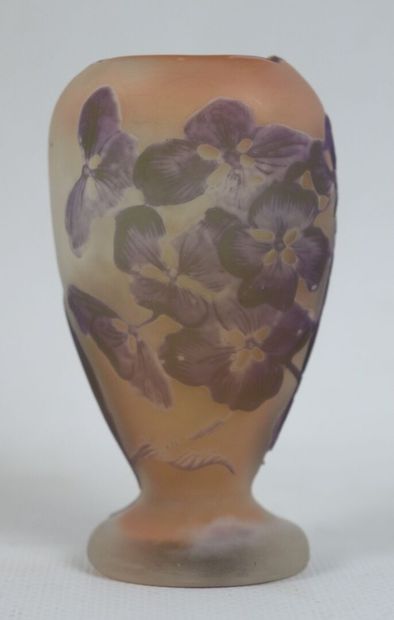 null ETABLISSEMENTS GALLE (1904-1936).

Vase sur piédouche à décor multicouches dégagées...