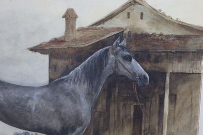 null Jules NOGUES (1809-?).

Cheval au repos.

Aquarelle sur papier, signée en bas...