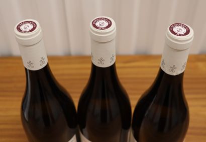 null CHATEAU LA MARTINETTE - CLOS BLANC.

Millésime : 2017.

3 bouteilles

CE LOT...
