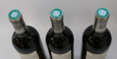 null CHATEAU OLIVIER BLANC.

Vintage : 2009.

3 bottles