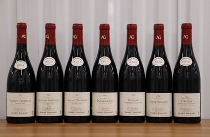 null Lot of 7 bottles of the domain ANDRE GOICHOT including: 

-CHARMES CHAMBERTIN...