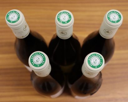 null CHATEAUNEUF-DU-PAPE WHITE.

DOMAINE DE LA BISCARELLE.

Vintage : 2018.

5 bottles

THIS...