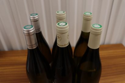 null Lot of 6 bottles including : 

-2 PULIGNY-MONTRACHET DOMAINE BZIKOT 2018

-2...