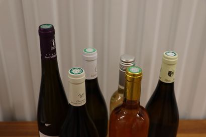 null Lot de 6 bouteilles comprenant :

-SAUTERNES HAUT CLAVERIE 2014. 

-PULIGNY-MONTRACHET...