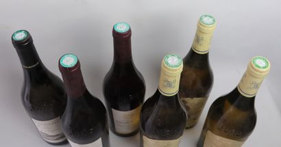 null ARBOIS.

Ensemble de 6 bouteilles comprenant :

ARBOIS PUPILLIN PLOUSSARD rouge,...