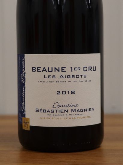 null BEAUNE 1er cru LES AIGROTS.

Domaine Sébastien MAGNIEN.

Vintage : 2018

6 bottles

THIS...