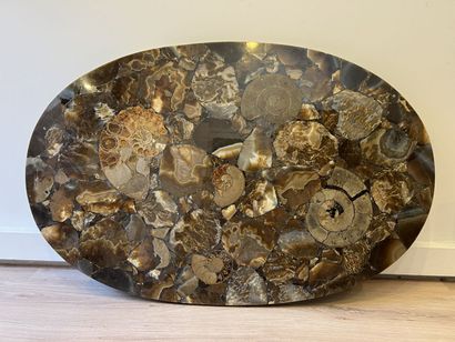 null Plateau de table basse ovale fossilisé en résine, contenant trois belles ammonites...