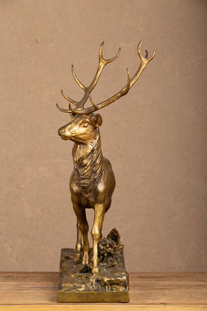 null Charles PAILLET (1871-1937).

Le Grand Cerf.

Bronze à patine mordorée, signé...