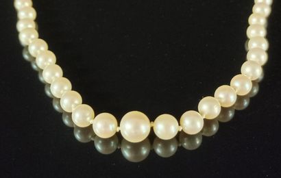 null Collier de perles de culture, fermoir en or blanc. 

L_52 cm

D(perles) : de...
