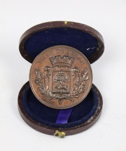 null VILLE DE SEDAN.

Exposition scolaire de 1886.

Médaille en cuivre dans son écrin...