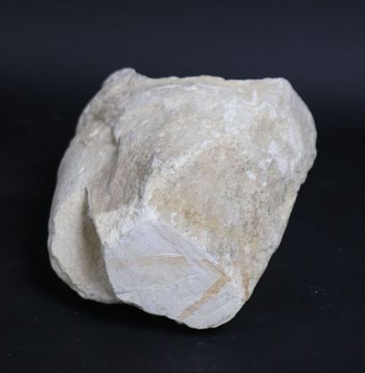 null Tête féminine en pierre calcaire.

XIIIème siècle.

H_21 cm L_18 cm P_12 cm

Découverte...