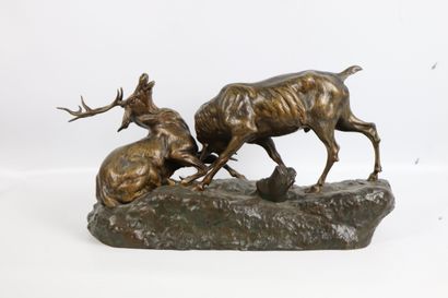 null Thomas CARTIER (1879-1943).
Le combat des cerfs.
Groupe en bronze à patine brune...