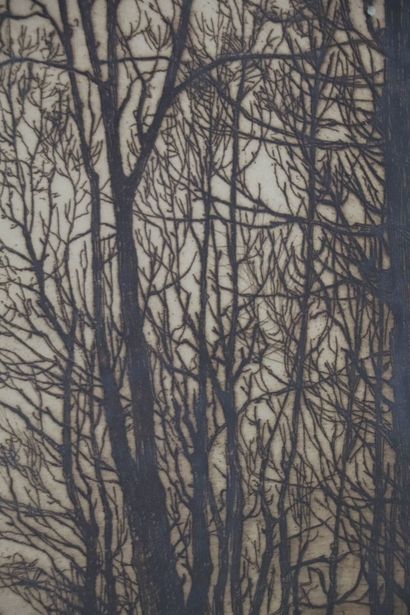null Eugène DELÂTRE (1864-1938)
Paysage aux grands arbres.
Eau-forte encadrée, signée...