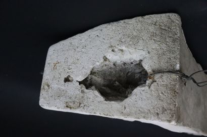 null Gargoyle in plaster, representing an imaginary animal. 
H_46 cm, small lacks....