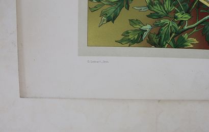 null LEBART (G.). Décoration florale. Paris, Bigot, s.d. (vers 1900). In-folio, en...