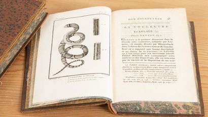 null DAUDIN (F. M.). Histoire naturelle générale et particulière des reptiles. Paris,...