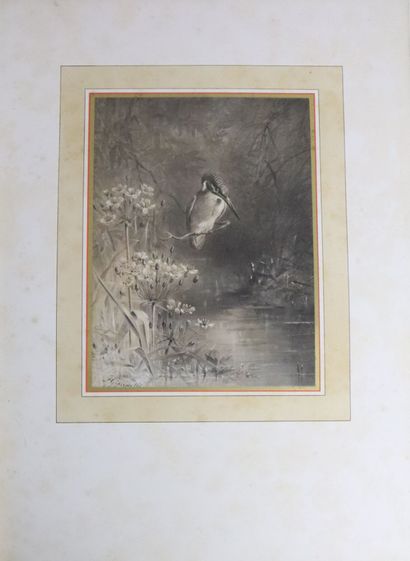 null GIACOMELLI. Wings and flowers. Paris, Librairie de la Société anonyme de publications...