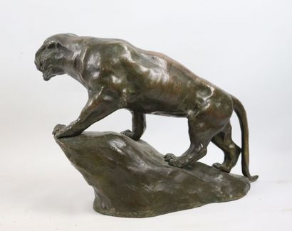 null Aristide ROUSAUD (1868-1946).
Tigre. 
Bronze à patine brune, signé sur la terrasse....