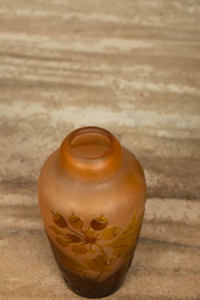 null ETABLISSEMENT GALLE. 
Vase pansu en verre multicouches dégagé à l'acide à décor...