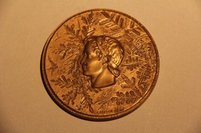 null JEUX OLYMPIQUES / Grenoble 1968.
Médaille officielle en bronze des participants...
