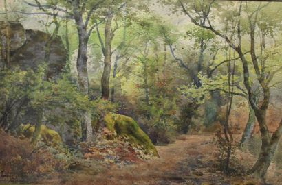 null VIONNOIS Félix (1841-1902)
Sous-bois
Aquarelle signée en bas à droite, dédicacée...