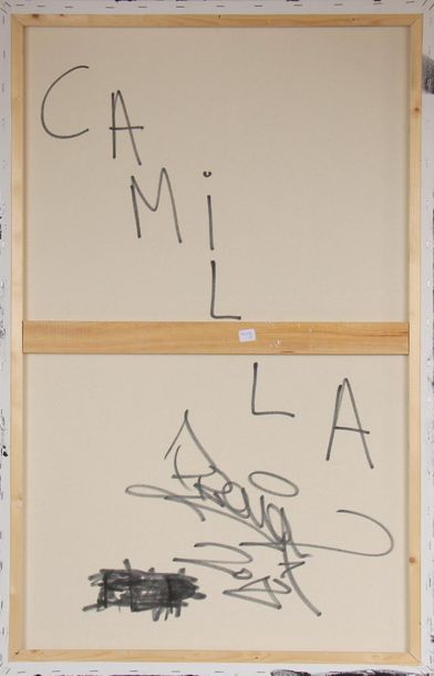null PROVOX (1992-)
Caresse polaire
Acrylique sur toile, signée et datée 2018 au...
