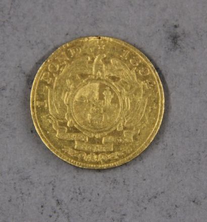 null *One gold One pond coin from South Africa 1894 (accident)