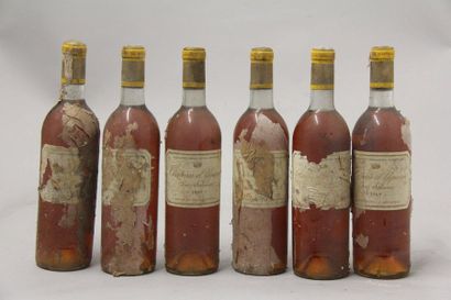 null 6	 bouteilles 	Château 	D'YQUEM, 1° Cru Supérieur 	Sauternes 	1969	 (ea; 5 ...