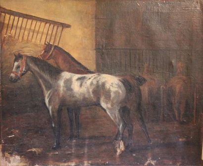 null Ecole du XIXème s.
- Deux chevaux, huile sur toile 55 x 65 cm. (accidents)
-...
