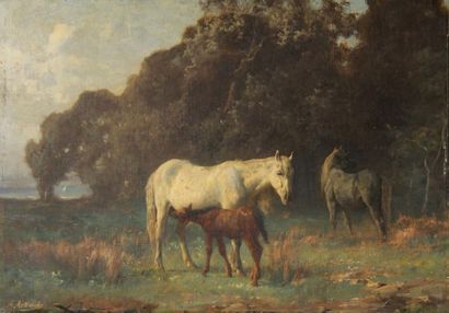 null Alfred AUTEROCHE (1831-1906)
Deux chevaux et un poulain
Huile sur toile signée...