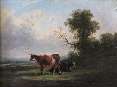 null Ecole du XIXème s.
Deux vaches dans un pré
Huile sur toile signée en bas à gauche...