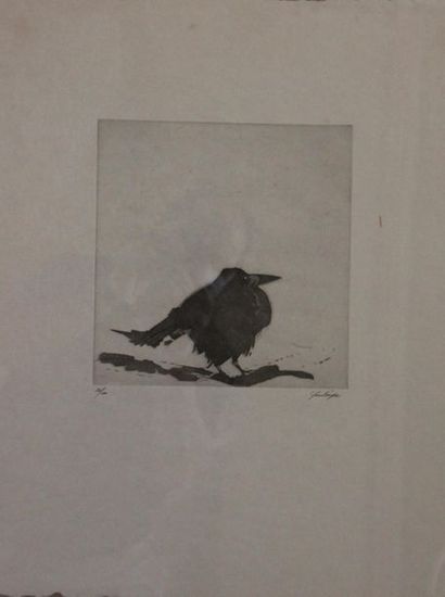 null Yves LEVEQUE (1937-)
Oiseaux
Suite de onze lithographies sur Japon signées et...