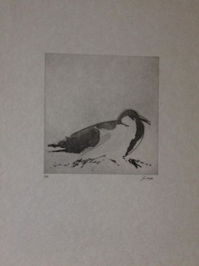 null Yves LEVEQUE (1937-)
Oiseaux
Suite de onze lithographies sur Japon signées et...