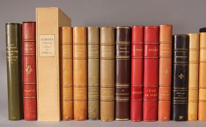 null Ensemble d'une cinquantaine de volumes bien reliés : littérature et divers