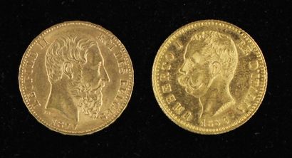 null *A Belgian 20 F coin 1877 and a gold 20 lira coin 1883.