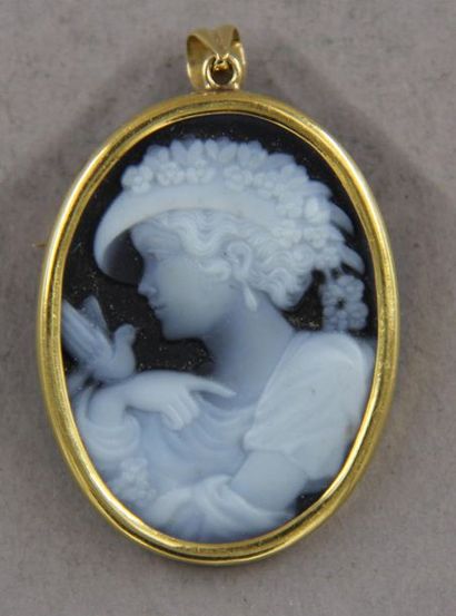 null Pendant oval brooch made of a cameo with a young woman with a bird, 18k yellow...