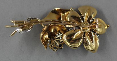 null Brooch in 18k yellow gold and platinum set with brilliants and sapphires in...