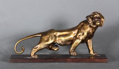 null Ecole moderne. 

Tigre. 

Sculpture en bronze à patine dorée nuancée sur un...