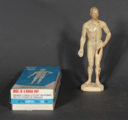 null Modèle de corps humain en plastique pour l'acupuncture dans sa boîte d'orig...