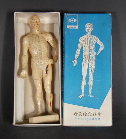 null Plastic human body model for acupuncture in its original box.