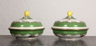 null VIENNA

Pair of covered tureens in polychrome porcelain decorated with scales...